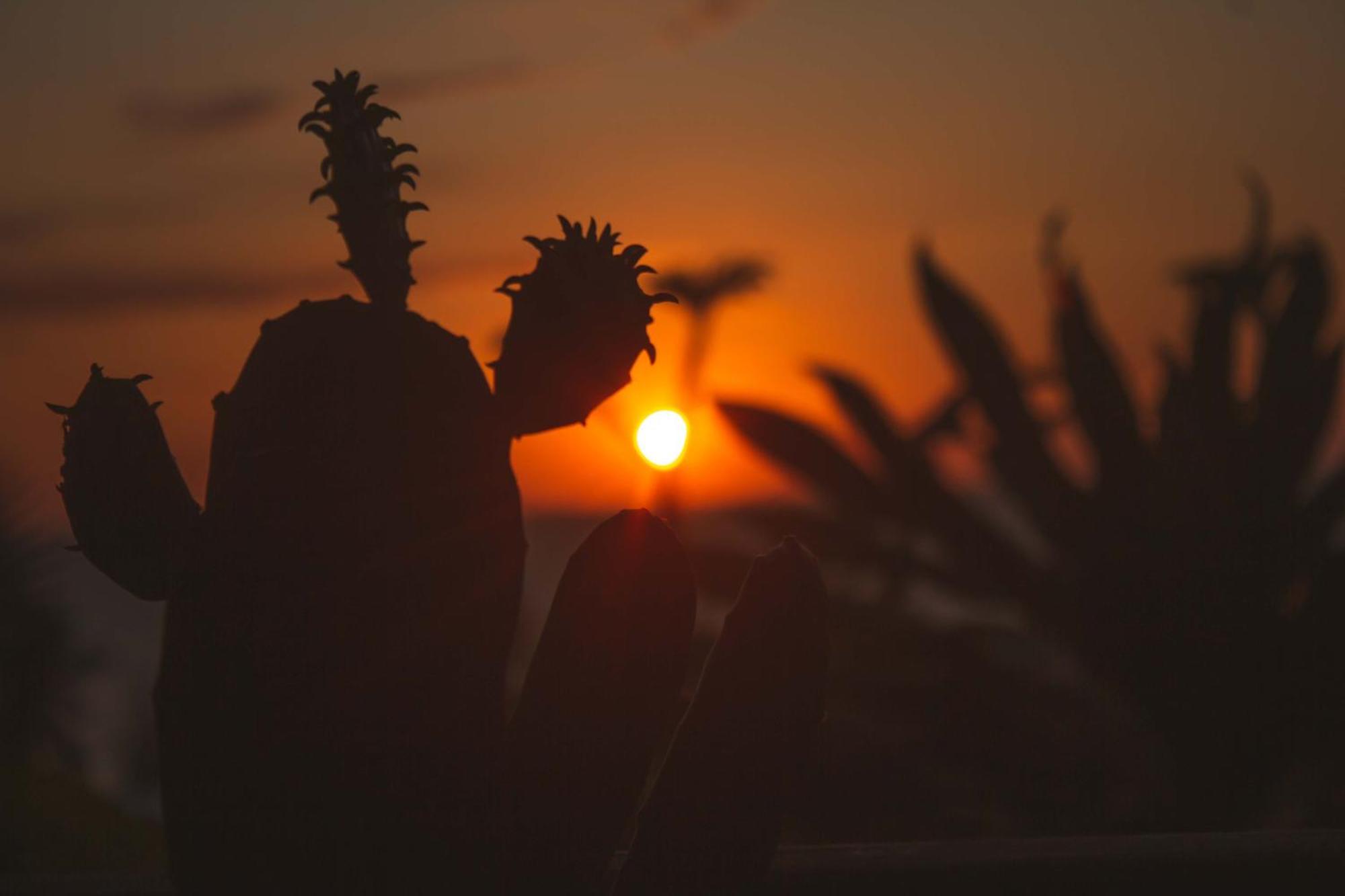 Coucher De Soleil Ambatoloaka  Exterior photo
